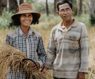Inorganic Arsenic in Rice: How Dryland Rice Farming and Veganic Cultivation Help
