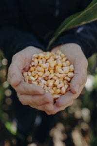 every choice we make at One Degree Organics is about connecting you with the real farmers and families who grew every ingredient