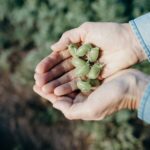 Why Non-GMO Matters to One Degree Organic Foods