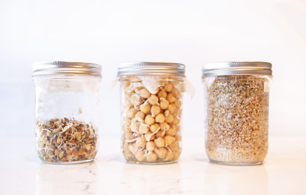 Organic sprouted whole grains
