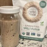 Sprouted Spelt Flour Starter