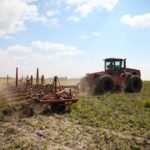 Sustainable plant-based farming