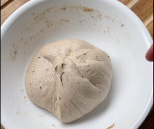 Rustic Sprouted Whole Wheat Bread