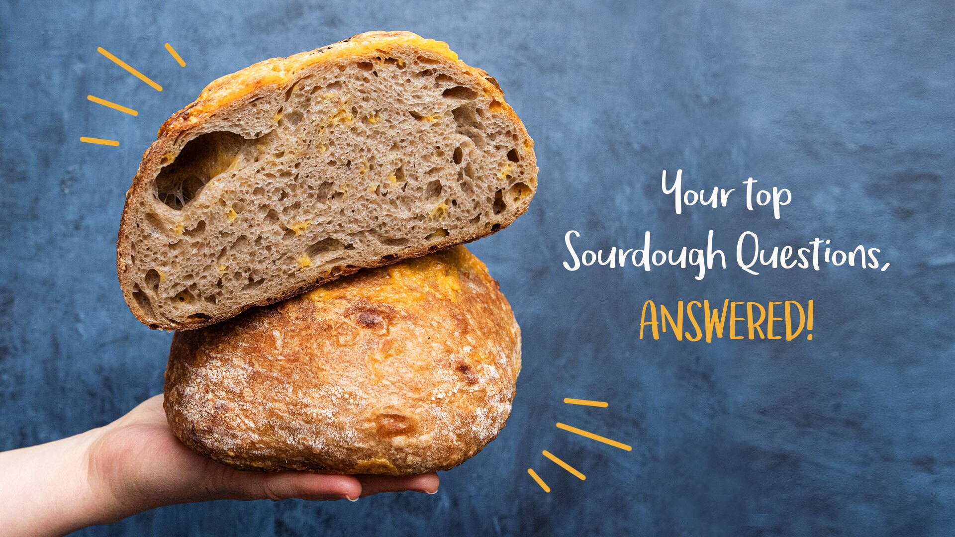 Your Top Sourdough Questions Answered