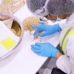 Gluten-Free Testing Process