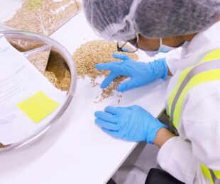 Gluten-Free Testing Process