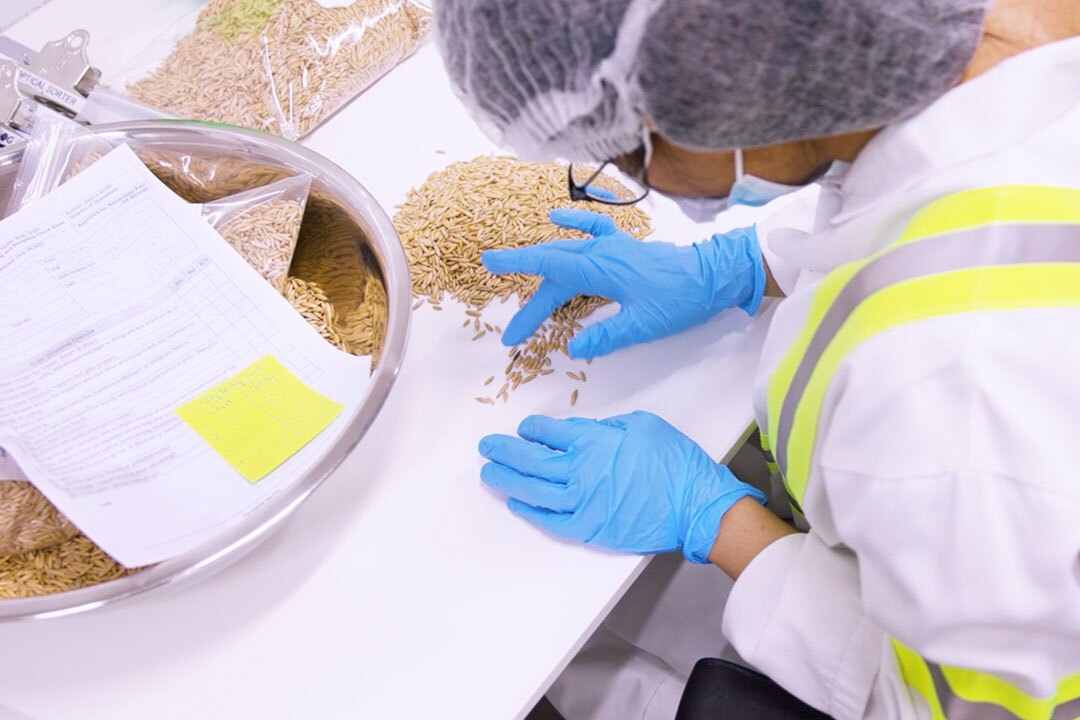 Gluten-Free Testing Process