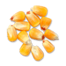 Maize Image